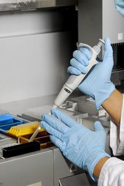 萊茵技術(shù)商檢青島食品實驗室 技術(shù)交流與創(chuàng)新發(fā)展